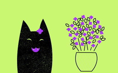6 Plantas que les gustan a los gatos